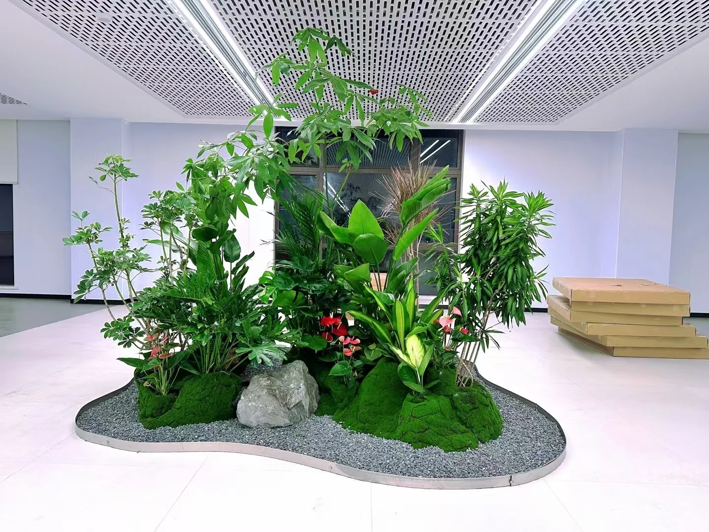 专业盆景出租，宁波余姚打造独特景观氛围