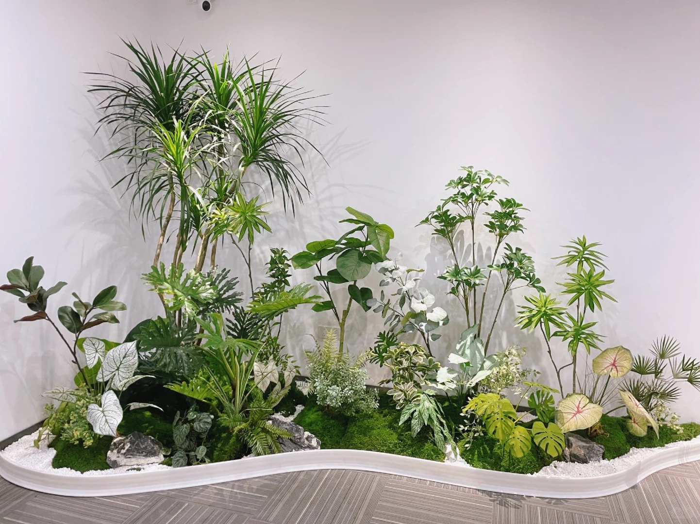 专业盆景出租,宁波北仑的绿色点缀新选择